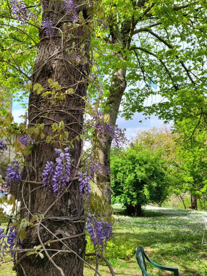 Apartamento Sambuco Di Sopra Fratticciola Selvatica Exterior foto